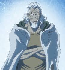 One piece, going merry (one piece), sunny (one piece), thousand sunny. Silvers Rayleigh One Piece Wiki Fandom