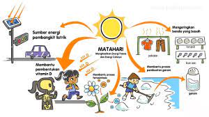 Manfaat Energi Matahari Bagi Makhluk Hidup Youtube