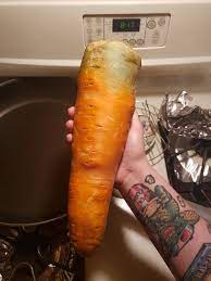 A carrot I bough today for $.69 : r/nextfuckinglevel