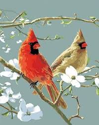Shop our amazing birds paint by numbers, art sets for adults, and pick your painting kit for less. Cardinals Birds Paint By Number Numpaint Paint By Numbers