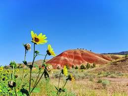 Maybe you would like to learn more about one of these? Oregon S Painted Hills When To Visit Best Tips You Need To Know