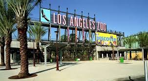 Set in la's historic filipino town, season one features monsters and evil spirits of filipino. Pin Von Tessa Bartholomew Auf Ride Colorfully Los Angeles