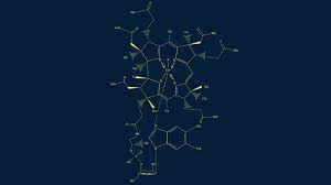 Vitamin b12 kann zu jeder tageszeit eingenommen werden, sollte aber nicht mit einer mahlzeit kombiniert werden. Die Wahrheit Uber Vitamin B12 Und Vegane Ernahrung Quarks De
