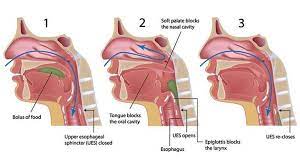 A bit of red stain blood comes out with them. 7 Facts About Mucus Phlegm Snot And Boogers Everyday Health