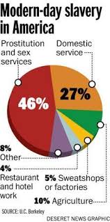 an easy to read pie chart on how trafficking labor is