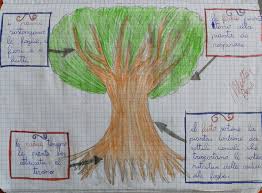 Piante del mondo in linea è un database online pubblicato da giardini botanici reali ^ informazioni sul portale online di plants of the world, piante del mondo in linea. Il Mondo Delle Piante