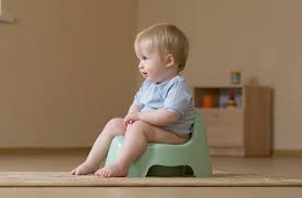Potty Training Your Ultimate Guide