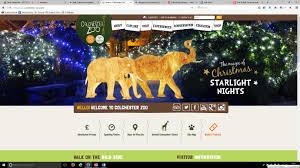 Analysis Of Colchester Zoo Digital Marketing