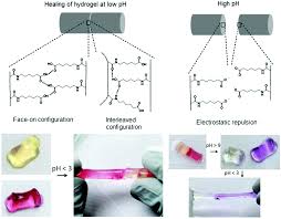 Lithium, therapy, population studies, therapeutic range. Stimuli Responsive Self Healing Polymers Gels Elastomers And Membranes Polymer Chemistry Rsc Publishing Doi 10 1039 C7py01386h