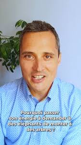 Harmoniste, expert en cohérence et culture d'entreprise