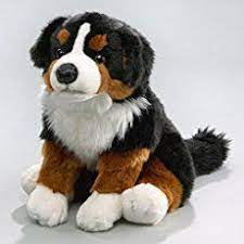 Pin On Bernese Mountain Dog Stuff