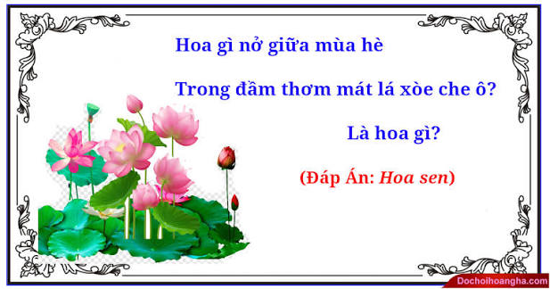 Câu đố chủ đề "Thực vật" | Mầm non Thái Sơn