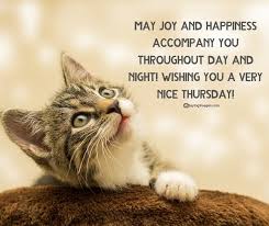 Check spelling or type a new query. 25 Motivational Thursday Quotes To Get You Through The Week Sayingimages Com