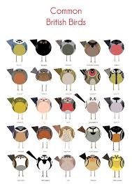 Common British Birds Cher Pratley Common British Birds Bird Poster Bird Art