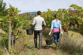 A working holiday visa is a residence permit allowing travellers to undertake employment (and sometimes study) in the country issuing the visa to supplement their travel funds. Australian Working Holiday Visas Yha Australia