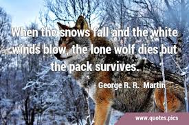 Because of wolves' territorial nature, loners must be cautious about trespassing into lands belonging to other packs. Loneliness Quotes Loneliness Sayings Quotations Picture Quotes