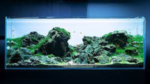 Iwagumi Akvarium 4k Cinematic Green Aqua Aquascape Aqua Green Aquascape Aquarium