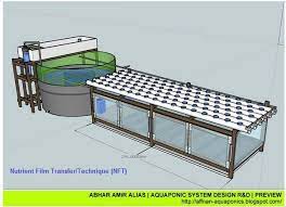 Pin By Diana Harmon On Aquaponics Aquaponics System Backyard Aquaponics Aquaponics Greenhouse