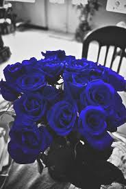 Real Black And Blue Flowers Don T Know If They Are Real But I M Drawn To The Blue Hue Blue Flowers Blue Roses Flowers