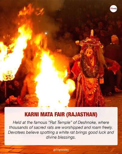 India isn't just about destinations—it's about experiences that stay with you long after the journey ends. Here are 10 rare and culturally immersive festivals that redefine travel in India—perfect for those seeking
