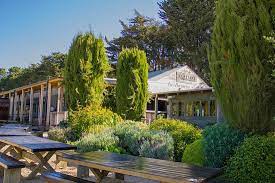 sunday funday at t gallant winery review of t gallant main ridge australia tripadvisor