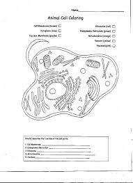 Plant Cell Coloring Worksheet Animal Cell Coloring Page Coloring Home Cells Worksheet Animal Cells Worksheet Animal Cell