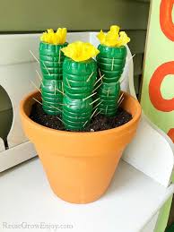 Great news!!!you're in the right place for cactus water bottle. Water Bottle Cactus Craft Reuse Grow Enjoy