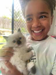 Can I get a picture of Mewkie getting brushed?