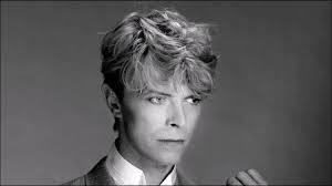 David Bovio's Instagram, Twitter & Facebook