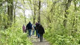 Wednesday Wonder Walk