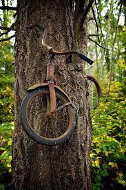 A Boy Left His Bike Chained To A Tree When He Went Away To War In 1914 He Never Returned Leaving The Tree No Choice But To Grow Naturbilder Natur Foto Natur