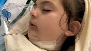 Fundraiser by Danielle Goulet : Help Bristol's Journey to Recovery