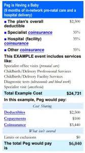 Check spelling or type a new query. Affordable Supplemental Pregnancy Insurance My Family Life Insurance