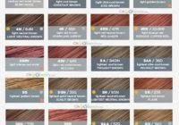 Rational Clairol Professional Hair Color Chart Pdf Clairol