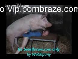 Update your location to get accurate prices and availability. Man Gets Fucked By Huge Pig Hd Porn Porn Tubes Video Sex Pornbraze Com