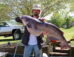Crappieman: Allatoona Lake Guide Fishing | Marietta Ga