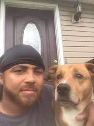 Missing pet in 33619 area code