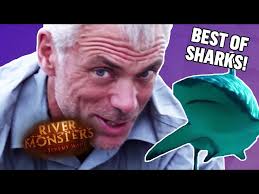 Best Of Sharks!