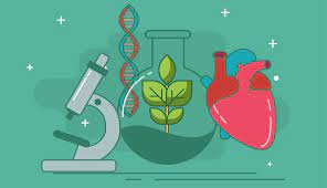 Quiz Biologia Quizammissione It