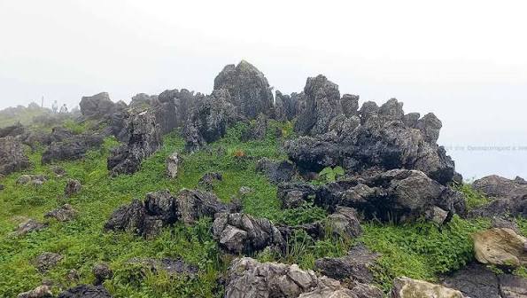 Rock Garden