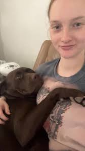 Lost Dog Yogi in Prescott Valley