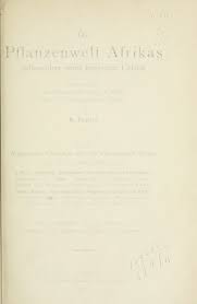 Image result for Erythrocephalum scabrifolium