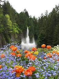 Ross Fountain Butchart Gardens Vancouver Island Canada Butchart Gardens Beautiful Nature Vancouver Island