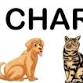 Animal Charity Fair event in Preston