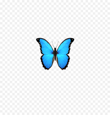 Butterfly png with alpha transparent background beautiful butterfly resolution: Butterfly Emoji Domain Iphone Ios Butterfly Emoji Png Transparent Blue Butterflies Png Free Transparent Png Images Pngaaa Com