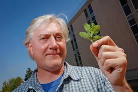 Motivated by Mint: Bryan Drew travels world to collect plants, extract DNA 