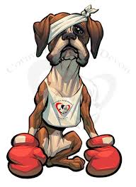 We got him at 7 and a half weeks old maybe aggressive boxer pitbull mix puppy. Cornwall South Devon Boxer Rescue Home