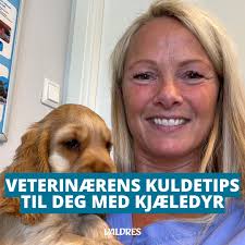 Kjell Erik Eggen (72) og Else Margrethe Løvås Eggen (66) inviterer  Fylkesmannen til Volbu, samtidig som dei svarar på kritikken i klagesaka:  –⁠ Her er det bratt, ulendt og mykje stein