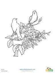 Keep your kids busy doing something fun and creative by printing out free coloring pages. Birds In Nest Coloring Page All Kids Network