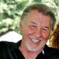 Louis J. D'Amelio Obituary